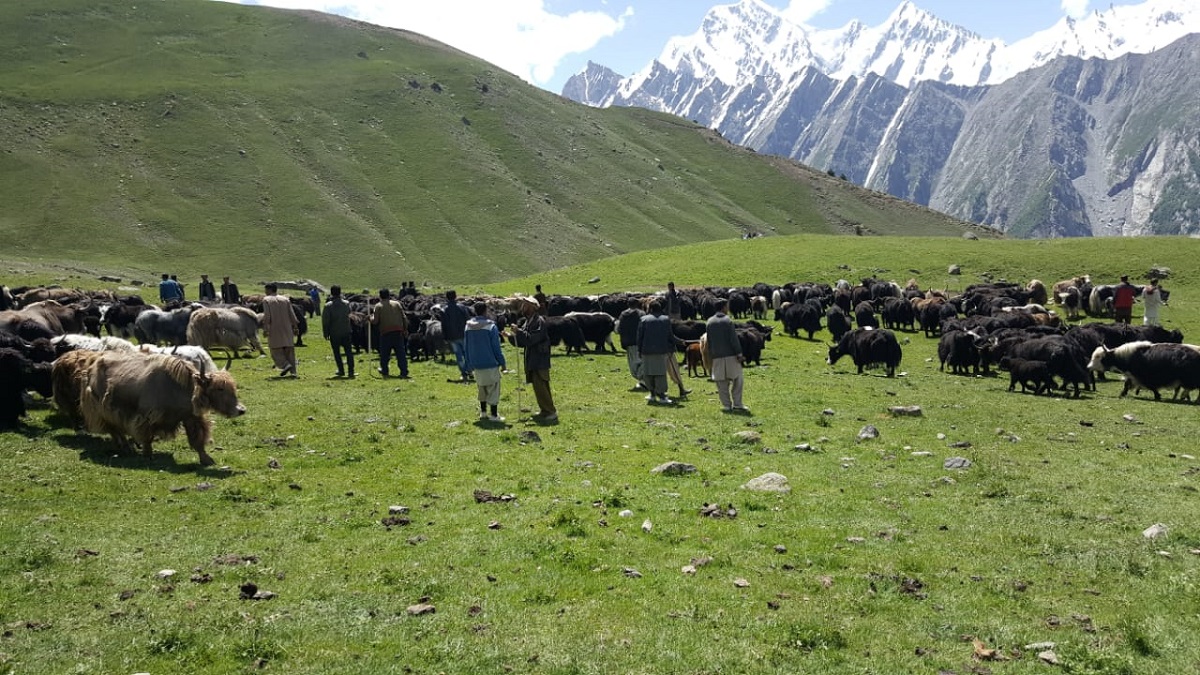 Livestock & Dairy Development Board (LDDB) Gallery Preview 2